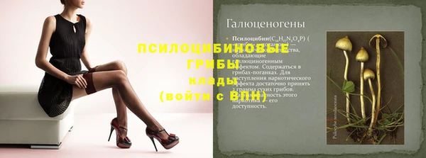 МДПВ Навашино