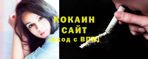 мдпв Михайлов