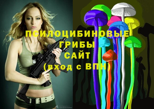 МДПВ Навашино