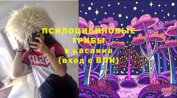 МДПВ Навашино
