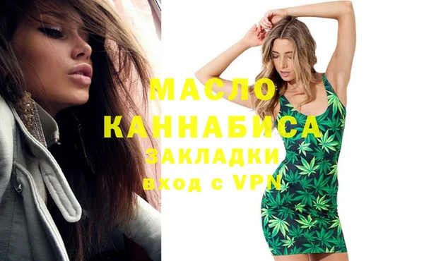 мдпв Михайлов