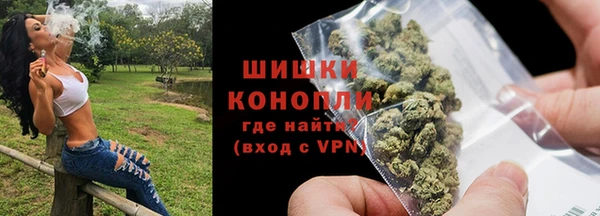 мдпв Михайлов